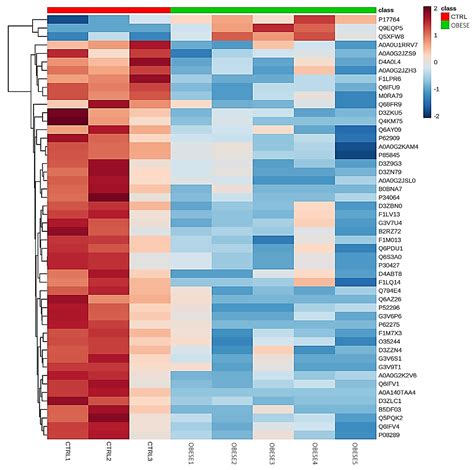 Obesity Modifies the Proteomic Profile of the Periodontal Ligament