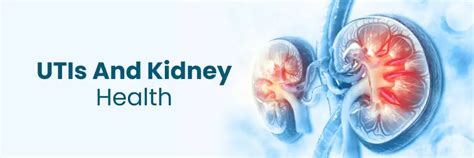 How UTIs Affect Your Kidney Health