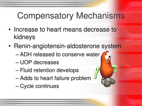 Image result for Heart Failer Compensatory Processes