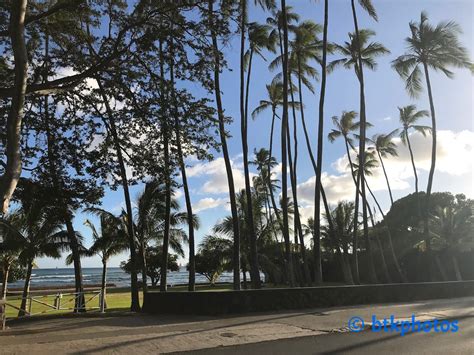 Reel to Real Filming Locations: The Real World: Hawaii (1999)
