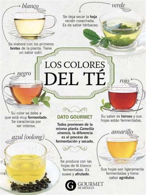 Pin de ANDREA en mezclas de te en 2024 | Infusiones de hierbas, Bebidas ...