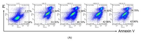 Protective Function of Malus baccata (L.) Borkh Methanol Extract ...