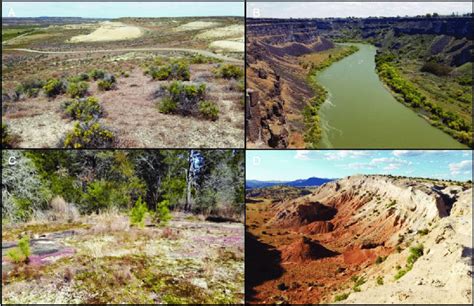 Image result for Environmental Variation Examples