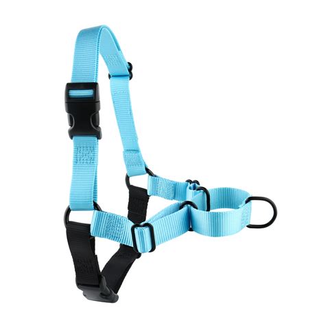 wolf trap animal rescue