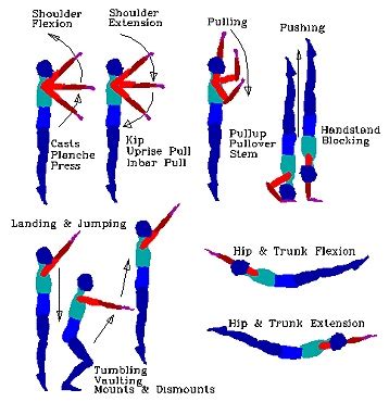 Girls Gymnastics Skills 的图像结果