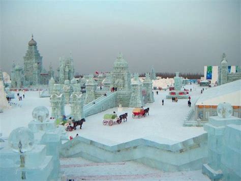 解锁冬季最美目的地—哈尔滨，这几件事你必须做！-哈尔滨旅游攻略-游记-去哪儿攻略