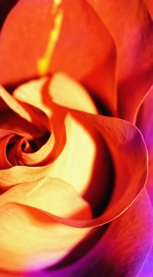 Image result for Native Android Application