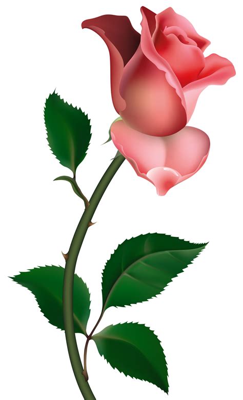 Free Roses Clip Art, Download Free Roses Clip Art png images, Free ...