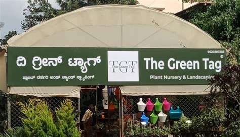 Rezultat imagine pentru Plus Google.com