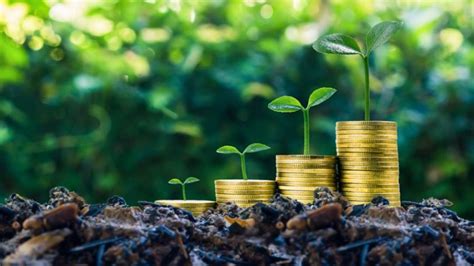 India’s Green Revolution 2.0