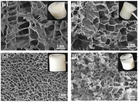 Experimental Study on Physicochemical Properties of a Shear Thixotropic ...
