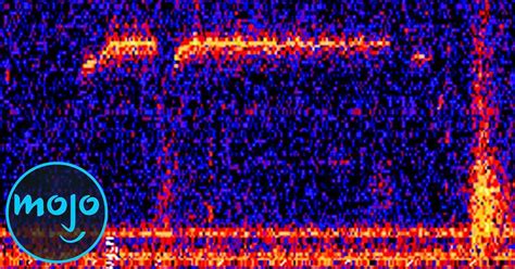 Image result for Watchmojo.com Top 10 Creepy Caults