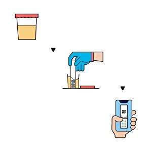 Buy Kidney Care Urine Test Kit | Instant At-Home | Track 15 Parameters ...