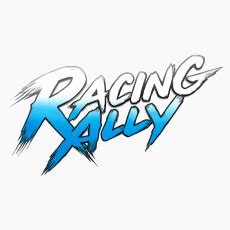 Buy Racing Rally RC Car Online in India – Remote Control Drift Cars