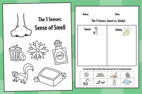 Sense Of Smell For Kids