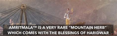 AMRITMALA PURE HERB (FOR CERVICAL PAIN, MIGRAINE, NECK PAIN, SHOULDER