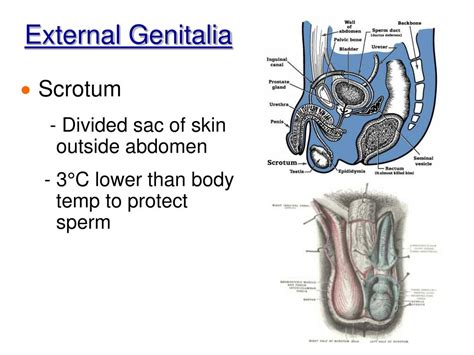 Image result for Reflective Notes Example