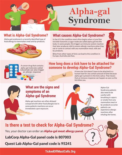 What is Alpha-Gal Syndrome? – TICKED OFF MAST CELLS | Types of food allergies, Syndrome, Alpha