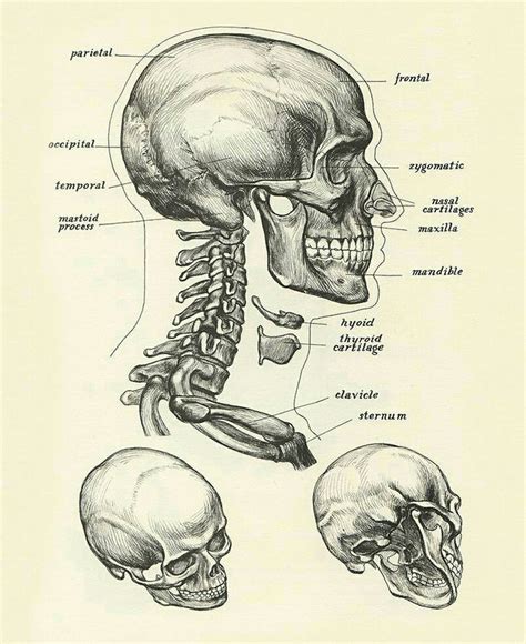 Image result for Example of Learning Program in School