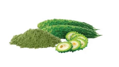 Fruit And Vegetable Powder - Cheese Dried Powder Manufacturer from Parbhani