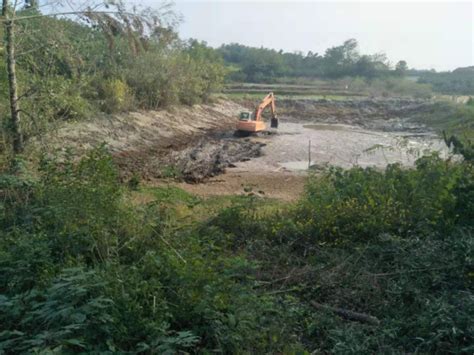 河湖长制助力滁州水环境治理取得大成效_滁州市水利局