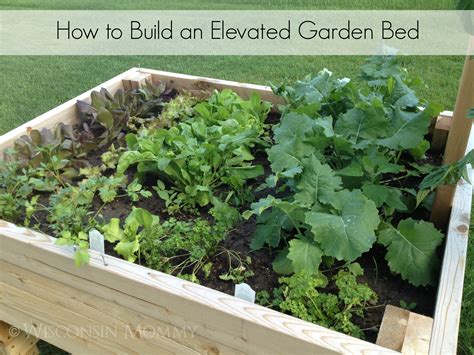 Build Your Own Elevated Raised Garden Bed