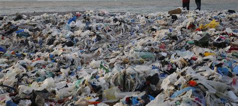 10 Plastic Pollution Facts That Show Why We Need To Do More