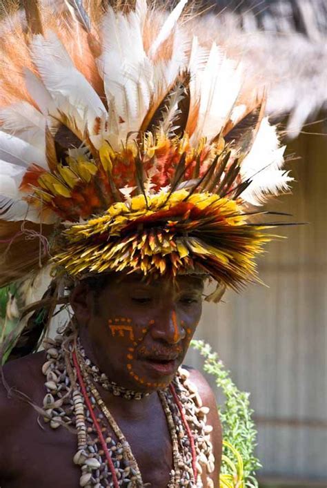 Aboriginal Hair Adornments: Traditional Styling & Cultural Significance