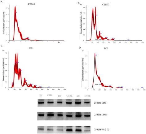 A Pilot Study of Exosome Proteomic Profiling Reveals Dysregulated ...