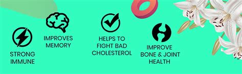 Buy Fixuphealth Omega 3 Vegan Capsule with Flaxseed Evening Primerose ...