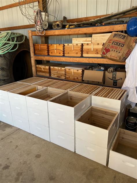 #bees #pollination #organic #honey #impactedlands | Land Betterment ...