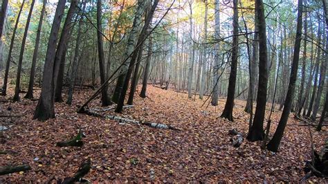 Image result for Invisible Filter