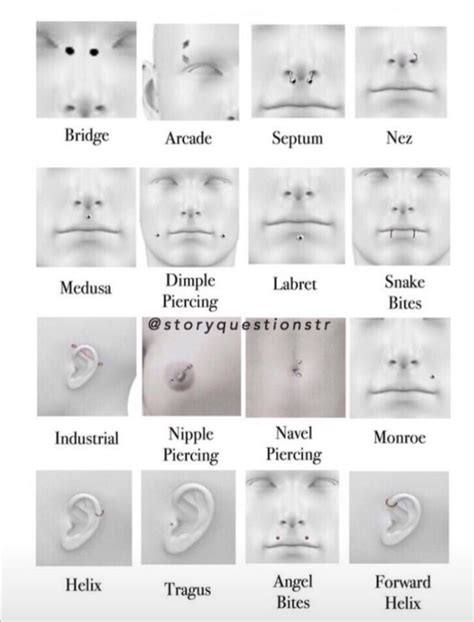 Pin by Mich Gonzalez on face piercing chart | Face piercings, Piercings ...