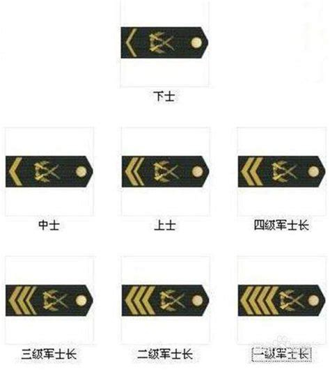 中国陆军军衔标志列表,要图片详解的_百度知道