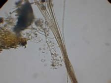 Das 10. firmm-Treffen