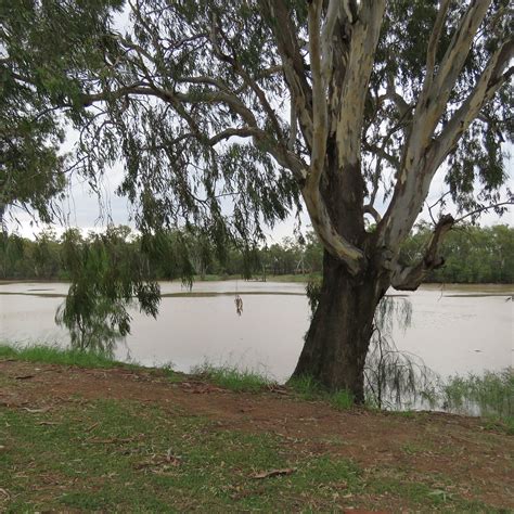 St George River Walk - All You Need to Know BEFORE You Go