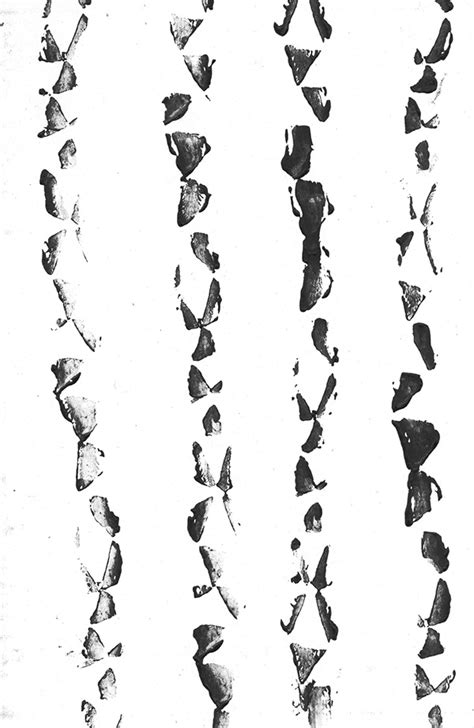 Image result for Mark Making Examples