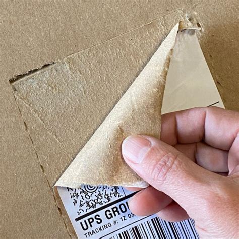 Image result for Remove Labels From Cardboard