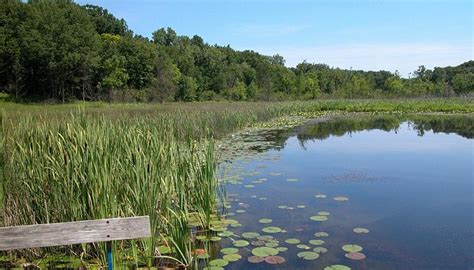 POKAGON STATE PARK (2026) All You Need to Know BEFORE You Go (with ...