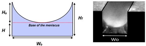 Free-Flowing Shear-Thinning Liquid Film in Inclined μ-Channels