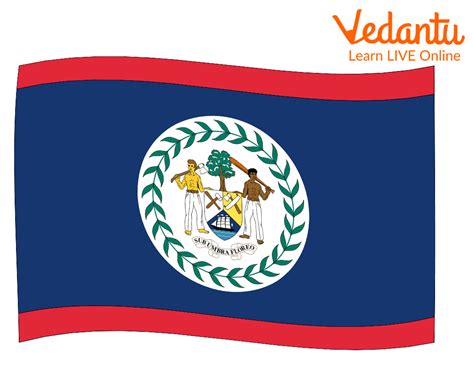 Countries Flags 的图像结果