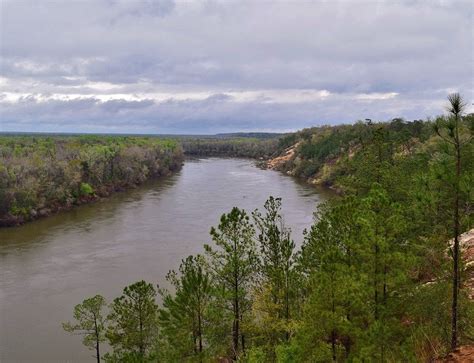 APALACHICOLA BLUFFS AND RAVINES PRESERVE (2026) All You Need to Know ...
