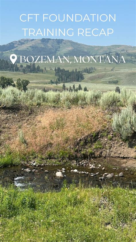 What is Craniosacral Fascial Therapy (CFT)? — Craniosacral Fascial Therapy