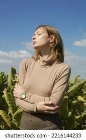 Image result for Dropcam Outdoor Model