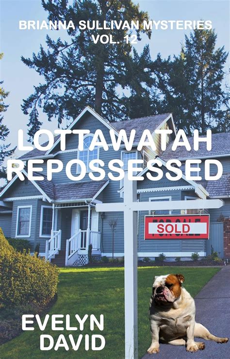 Lottawatah Repossessed (Brianna Sullivan Mysteries Book 12) eBook ...