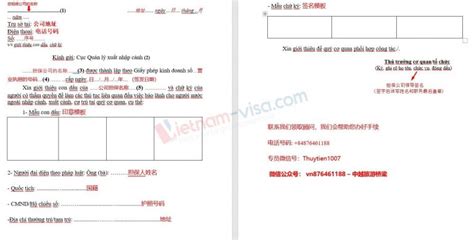 【越南入出境表格】越南签证表格 NA2 form| 如何填写| 下载