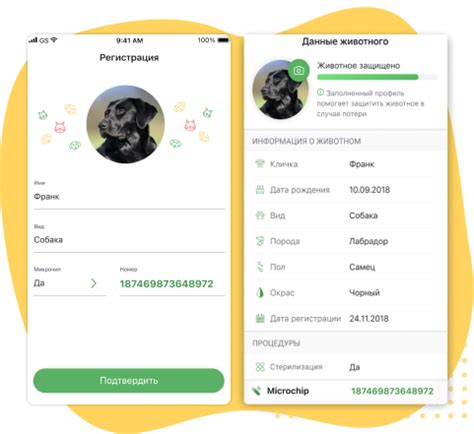 Регистрация домашних животных | Animal-id.net