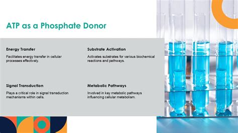 Rezultat imagine pentru ATP Process