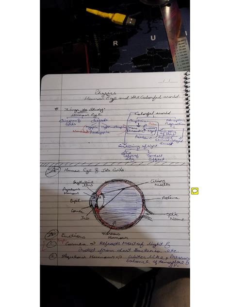 Image result for Class 10th Science Human Eye Chapter