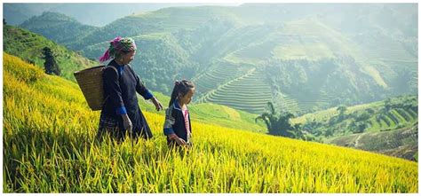 Agriculture 的图像结果